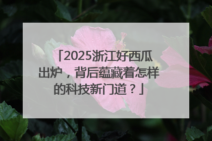 2025浙江好西瓜出炉，背后蕴藏着怎样的科技新门道？