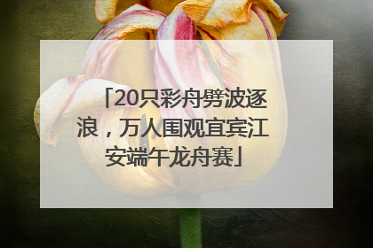 20只彩舟劈波逐浪，万人围观宜宾江安端午龙舟赛