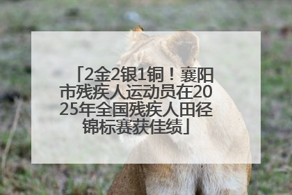 2金2银1铜！襄阳市残疾人运动员在2025年全国残疾人田径锦标赛获佳绩