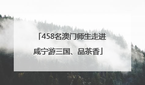 458名澳门师生走进咸宁游三国、品茶香