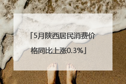 5月陕西居民消费价格同比上涨0.3%