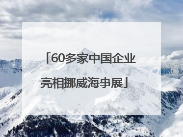 60多家中国企业亮相挪威海事展