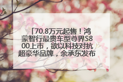 70.8万元起售！鸿蒙智行最贵车型尊界S800上市，欲以科技对抗超豪华品牌，余承东发布会未提及迈巴赫