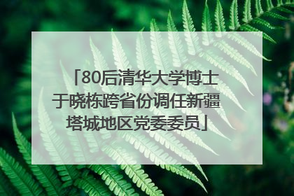 80后清华大学博士于晓栋跨省份调任新疆塔城地区党委委员