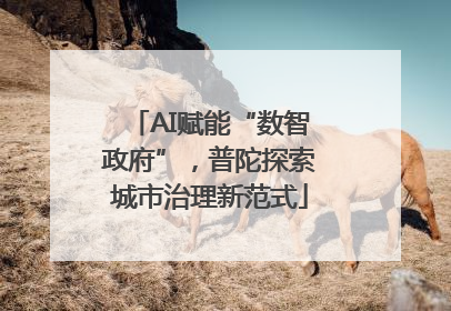 AI赋能“数智政府”，普陀探索城市治理新范式