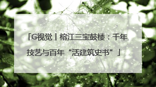 G视觉丨榕江三宝鼓楼：千年技艺与百年“活建筑史书”