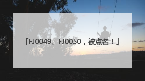FJ0049、FJ0050，被点名！