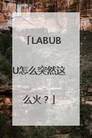 LABUBU怎么突然这么火？