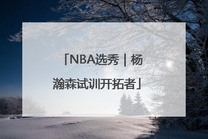 NBA选秀｜杨瀚森试训开拓者