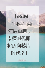 eSIM“叫停”两年后重启，卡槽时代即将迈向芯片时代？